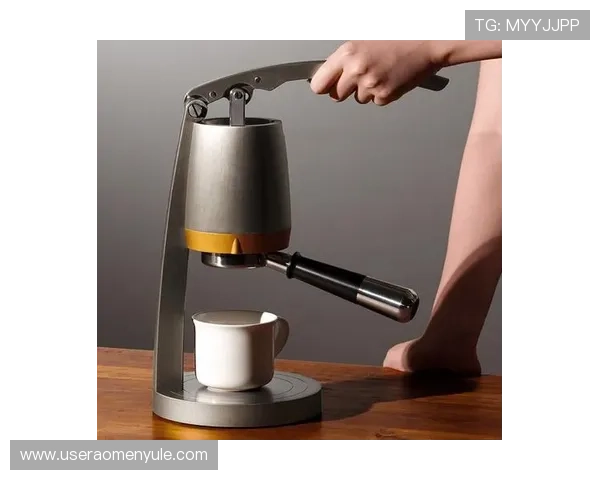 百宝来摩卡：结合现代设计的创新咖啡机产品介绍